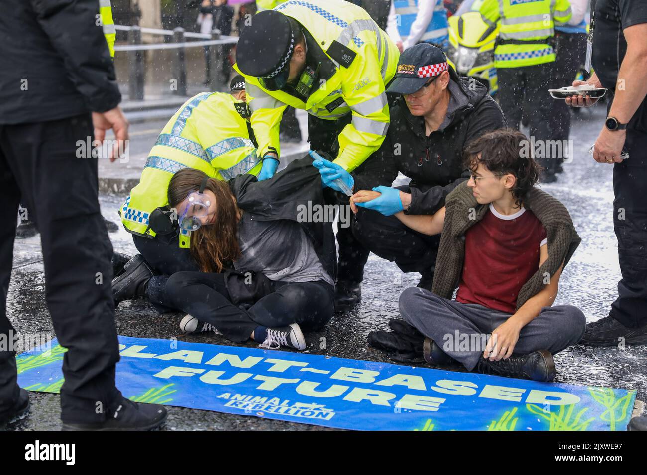 London, UK. 07th Sep, 2022. Members of Animal Rebellion are arrested after spray painting the walls of Westminster Palace just outside of Big Ben as they demand a plant-based future. Credit: Lucy North/Alamy Live News Stock Photo