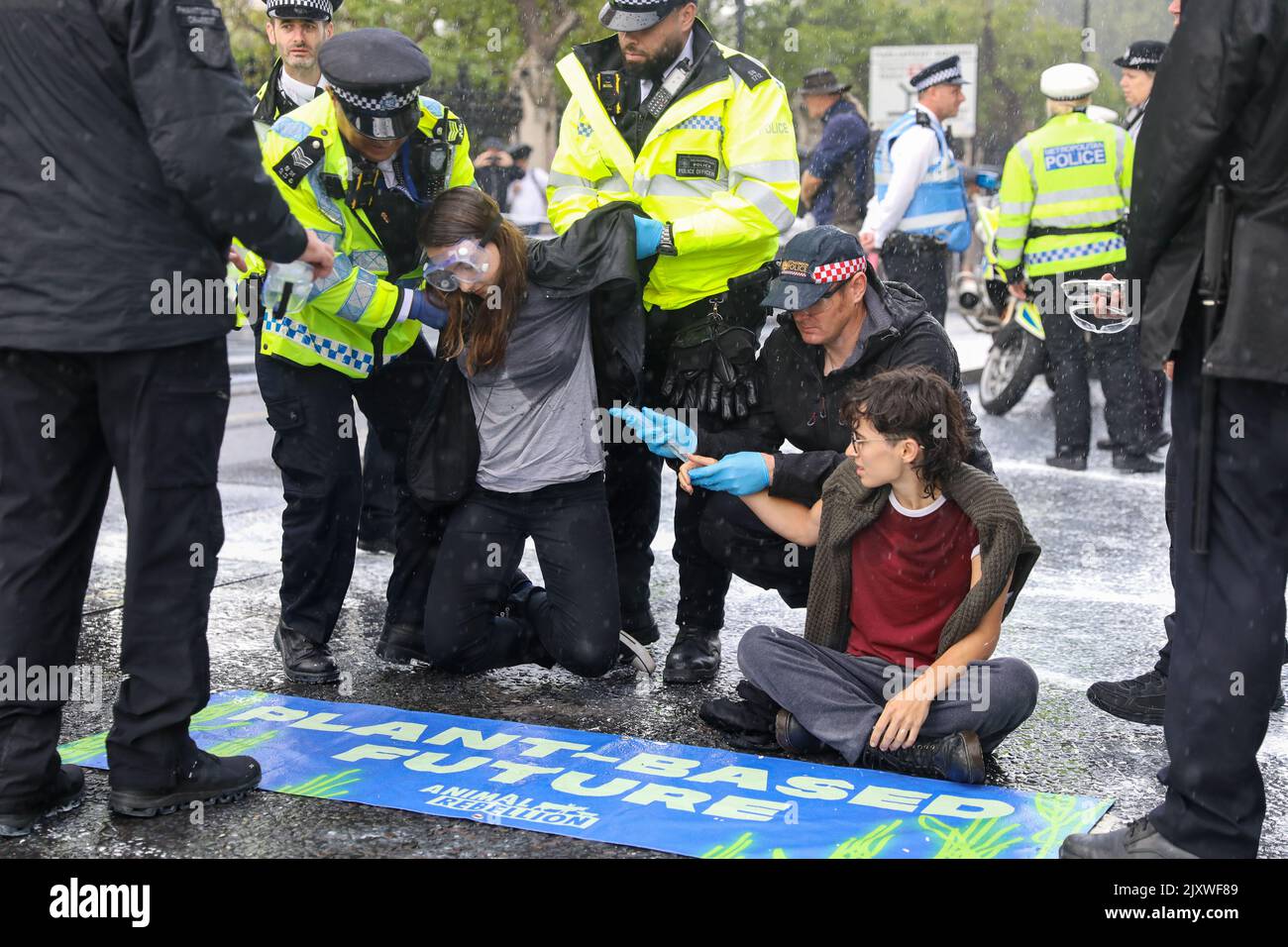 London, UK. 07th Sep, 2022. Members of Animal Rebellion are arrested after spray painting the walls of Westminster Palace just outside of Big Ben as they demand a plant-based future. Credit: Lucy North/Alamy Live News Stock Photo