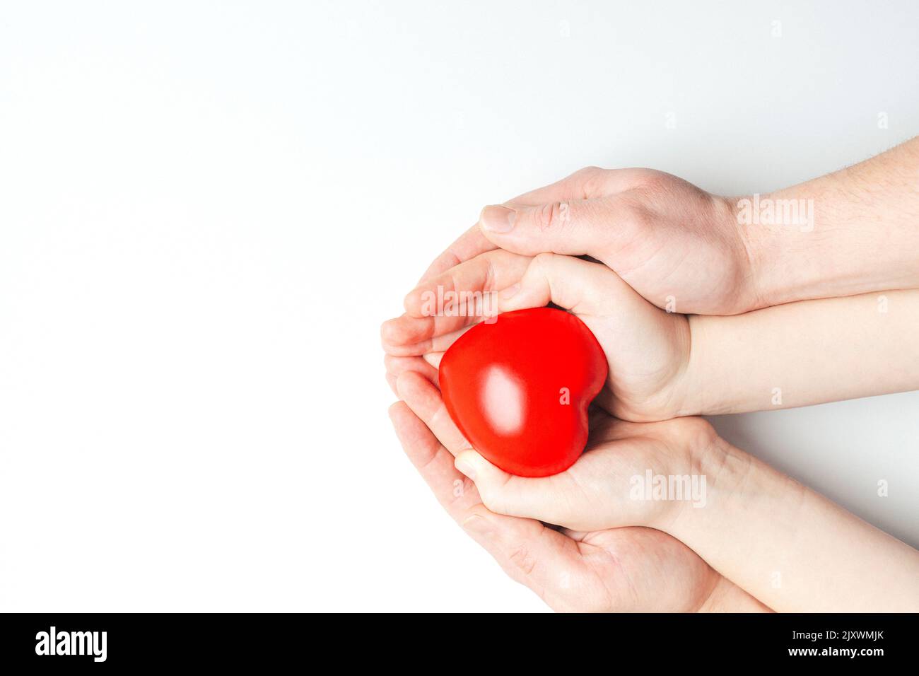 Man and child hands holding red heart on white background. Health care ...