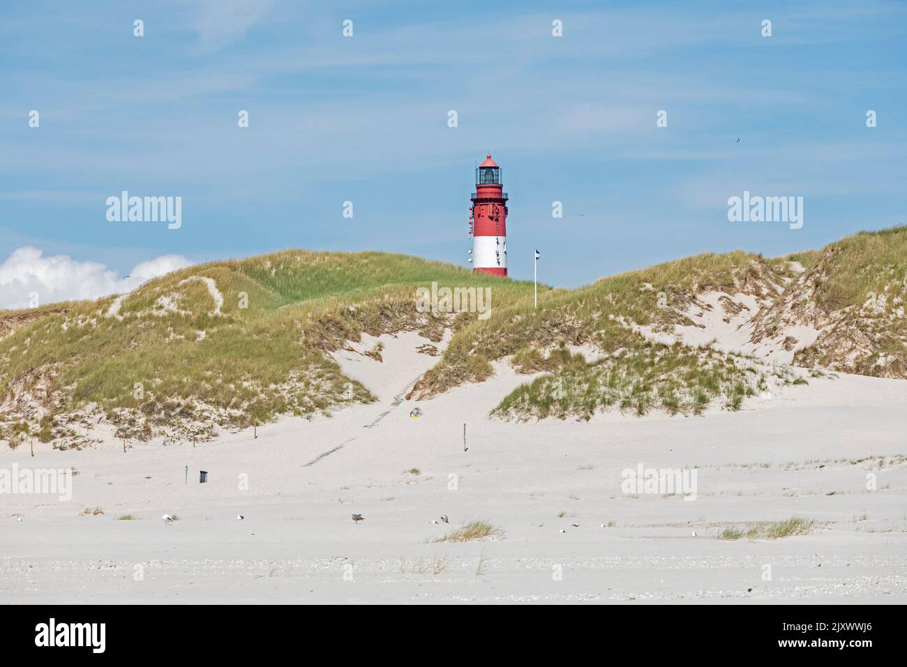 Kniepsand beach, dunes, lighthouse, Amrum Island, North Friesland, Schleswig-Holstein, Germany Stock Photo