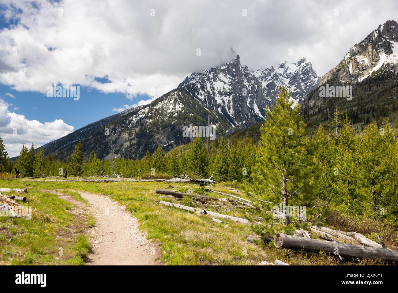 Jenny Young Model jenny-young-model