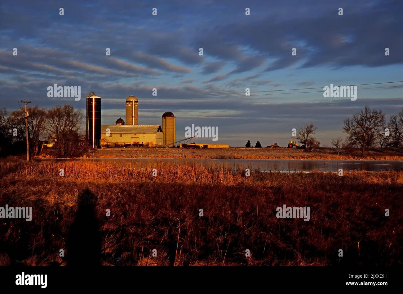 Farm scenic in Amherst Island Canada Stock Photo Alamy