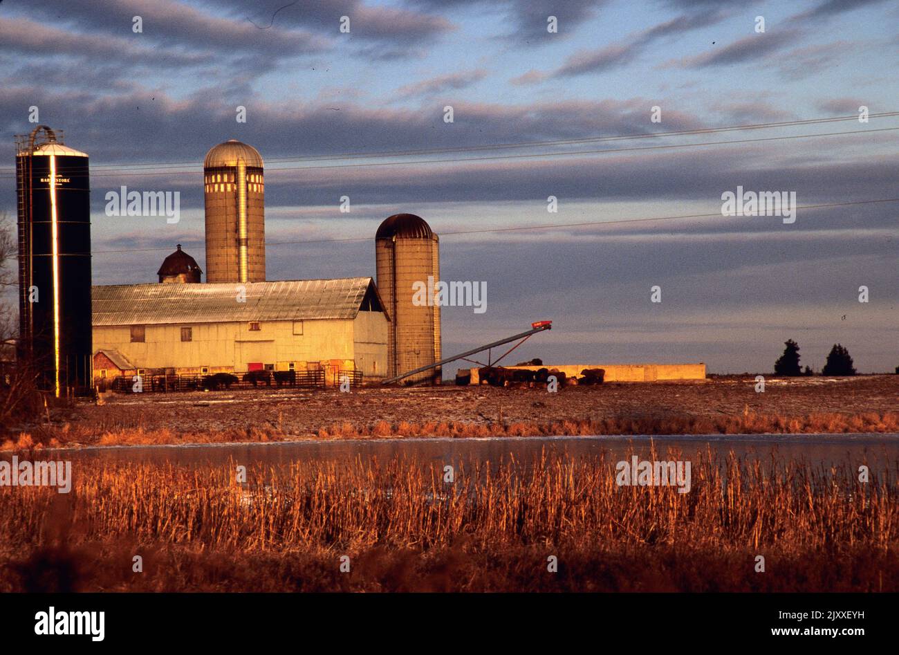 Farm scenic in Amherst Island Canada Stock Photo