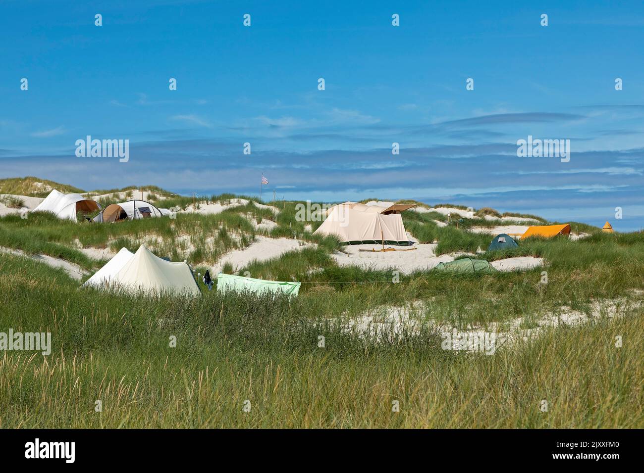 Camping site in the dunes, Amrum Island, North Friesland, Schleswig-Holstein, Germany Stock Photo