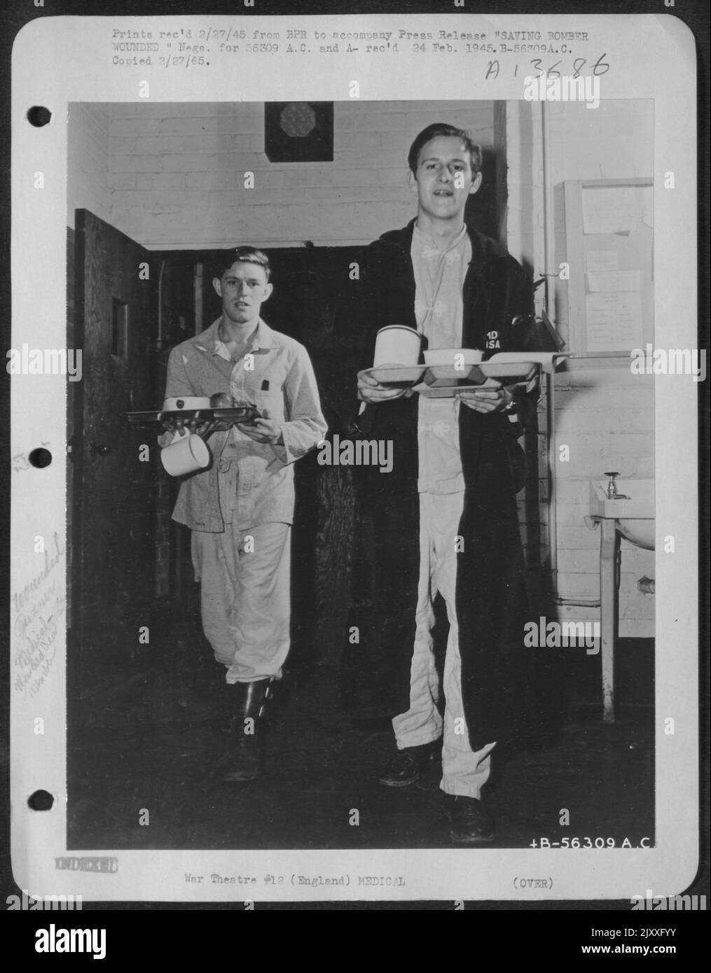 Almost no tail hi-res stock photography and images - Alamy