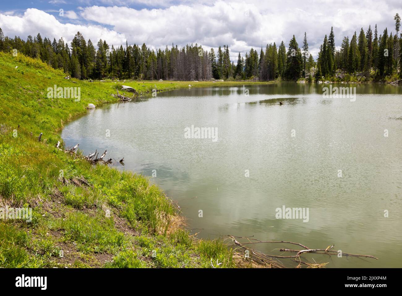 Clouds passing above Trapper Lake and its surrounding forests. Grand