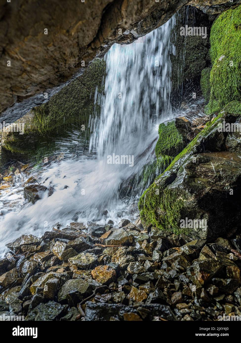 Holmes Creek, Adams Canyon, Utah USA Stock Photo