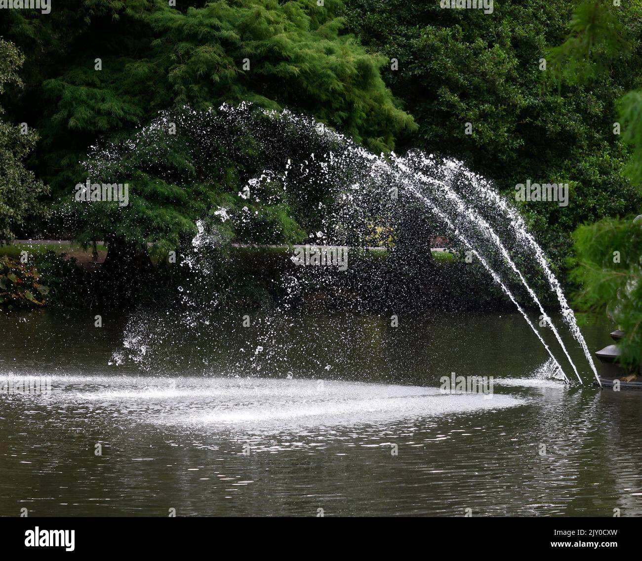 Water seen sprouting from a water feature in a large pond surrounded by green leaved trees. Stock Photo