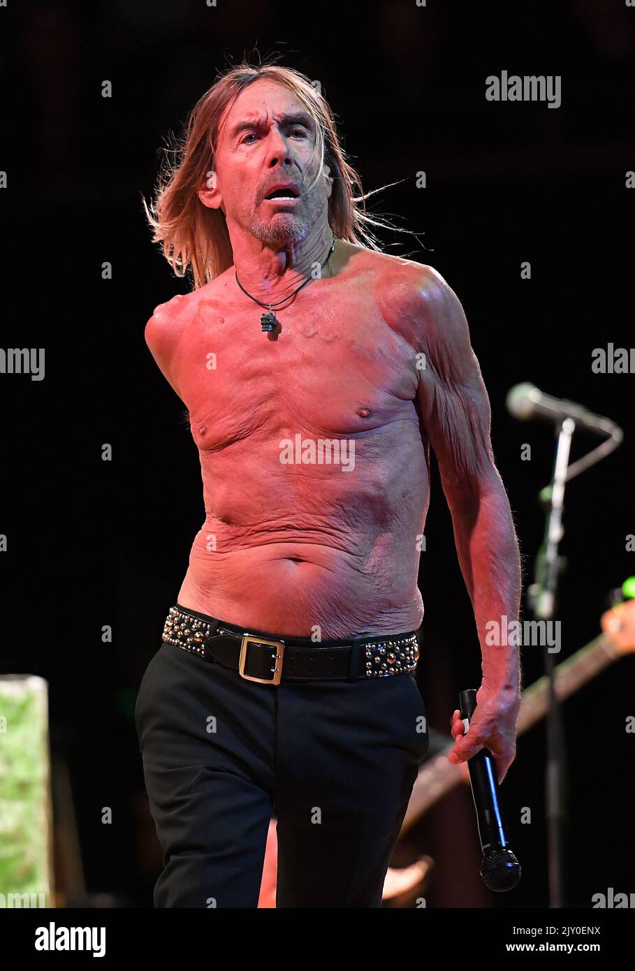 Singer Iggy Pop performs at the Sydney Opera House in Sydney, Monday, April  15, 2019. (AAP Image/Steven Saphore Stock Photo - Alamy