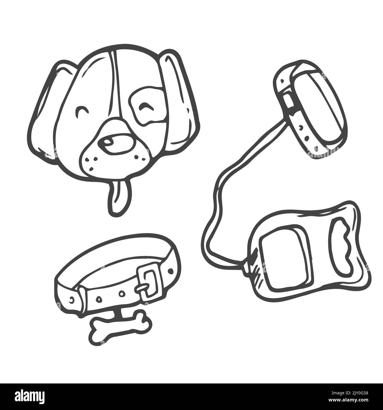 Dog collar sketch