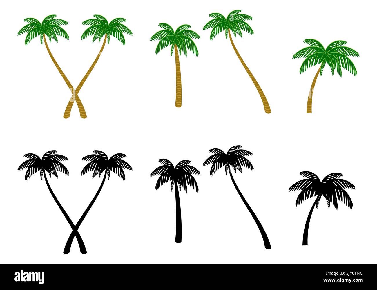 Collection of palm trees in color and silhouette Vector Illustration Stock Vector Image & Art