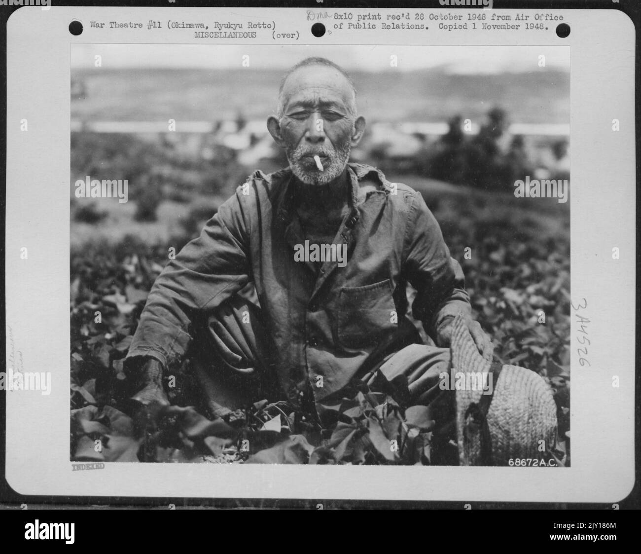And Another Pauses Before Digging His Sweet Potatoes - And So Is The Old Man In His Sweet Potato Patch, Stoically Smoking A Cigarette Given Him By The Photographer. Okinawa, Ryukyu Retto. Stock Photo