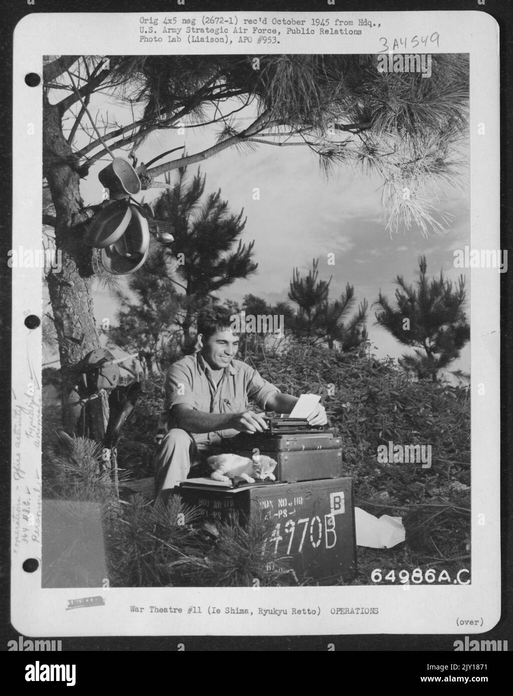 'Rum And Coke', A Feline Veteran Of Saipan, And One Of The Mascots Of