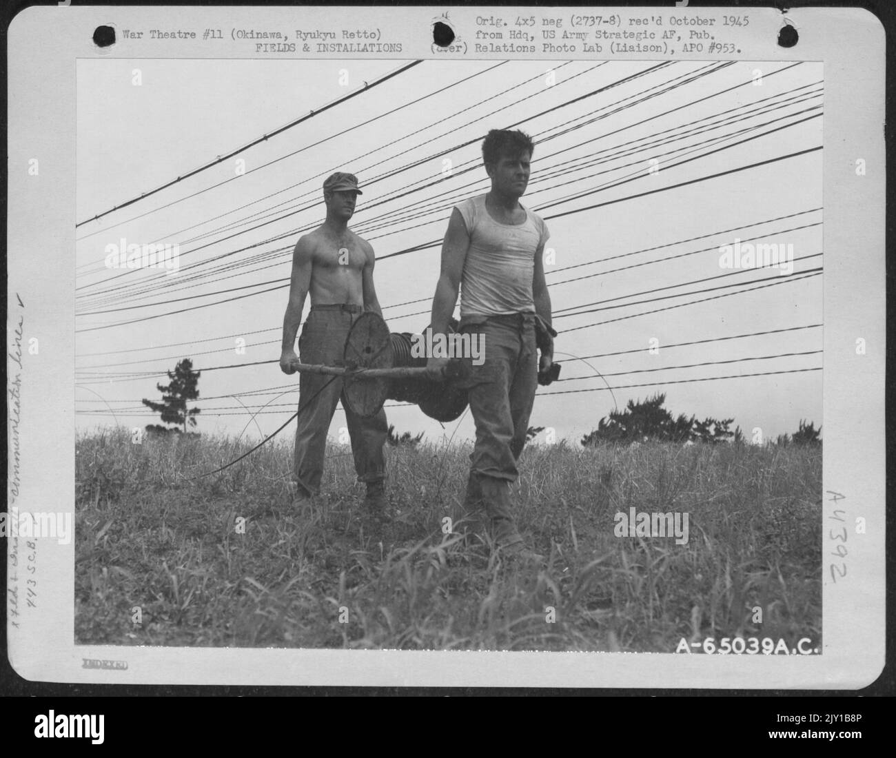 Men Of The 443Rd Signal Construction Battalion String Communication ...