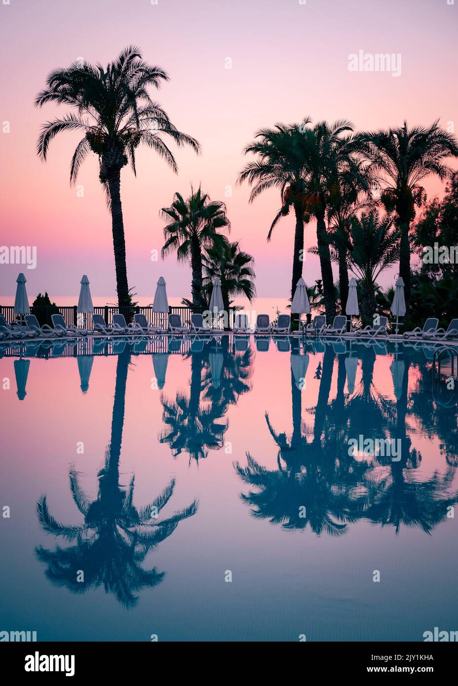 Silhouette of palm trees at the resort pool on pink and purple sunset sky, vertical image. Stock Photo