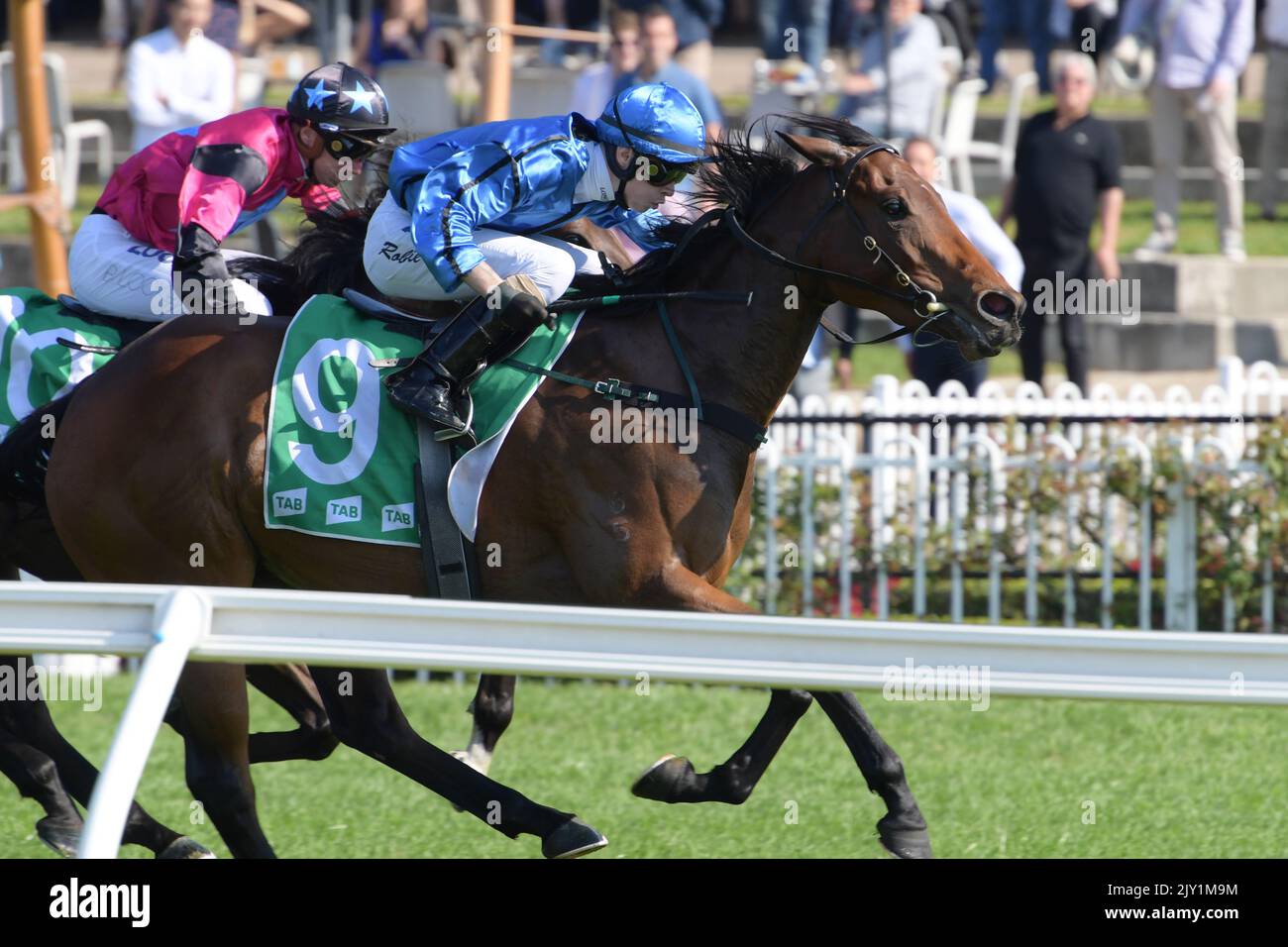 Jockey Robbie Dolan rides Elm Court to victory in race 2, the Tab