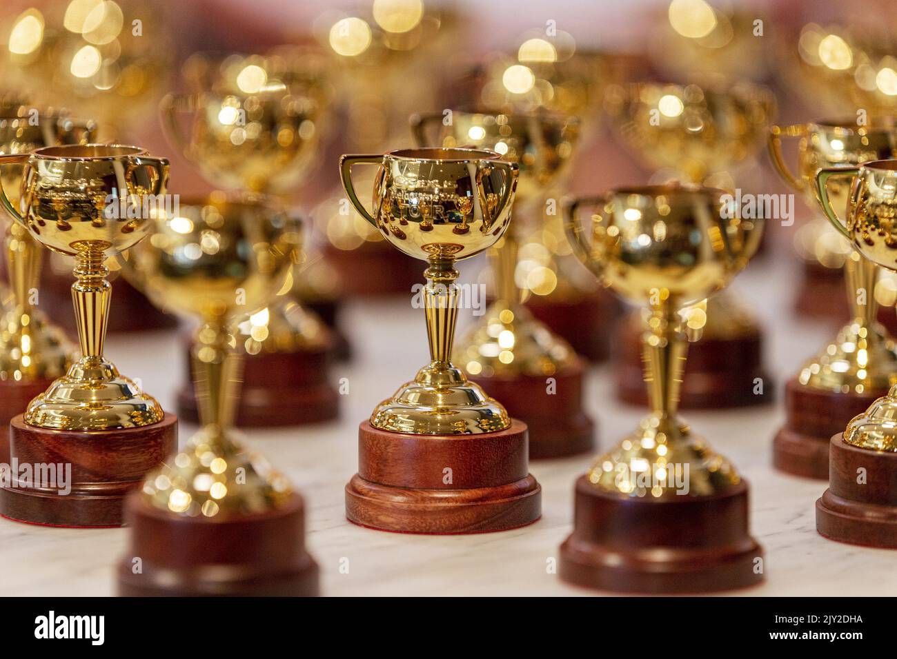 Mini Melbourne Cup trophies are seen during the Lexus Melbourne Cup