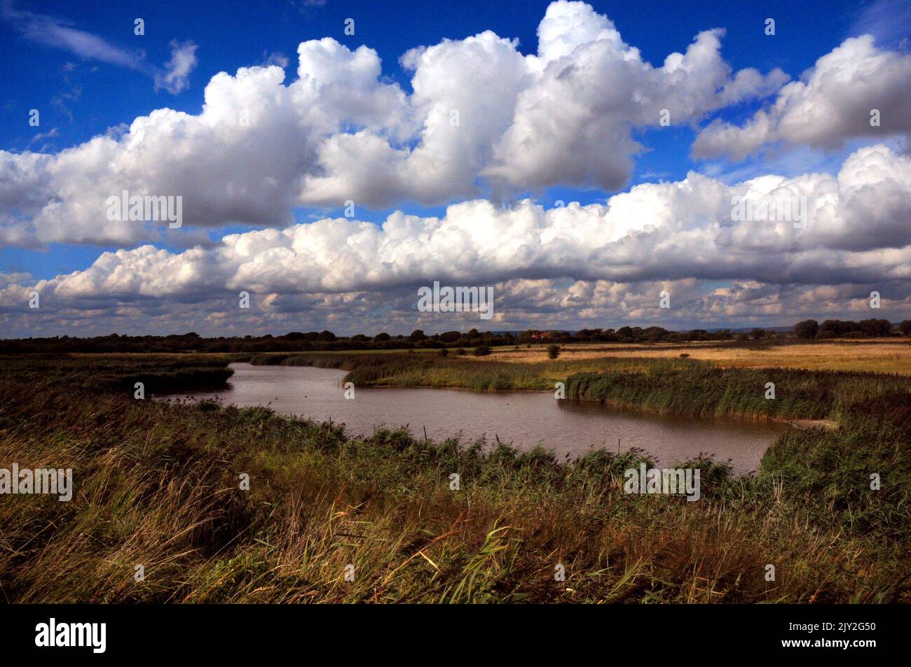 09/09/2013 . PAGHAM HARBOUR, WEST SUSSEX. PIC MIKE WALKER, MIKE WALKER ...