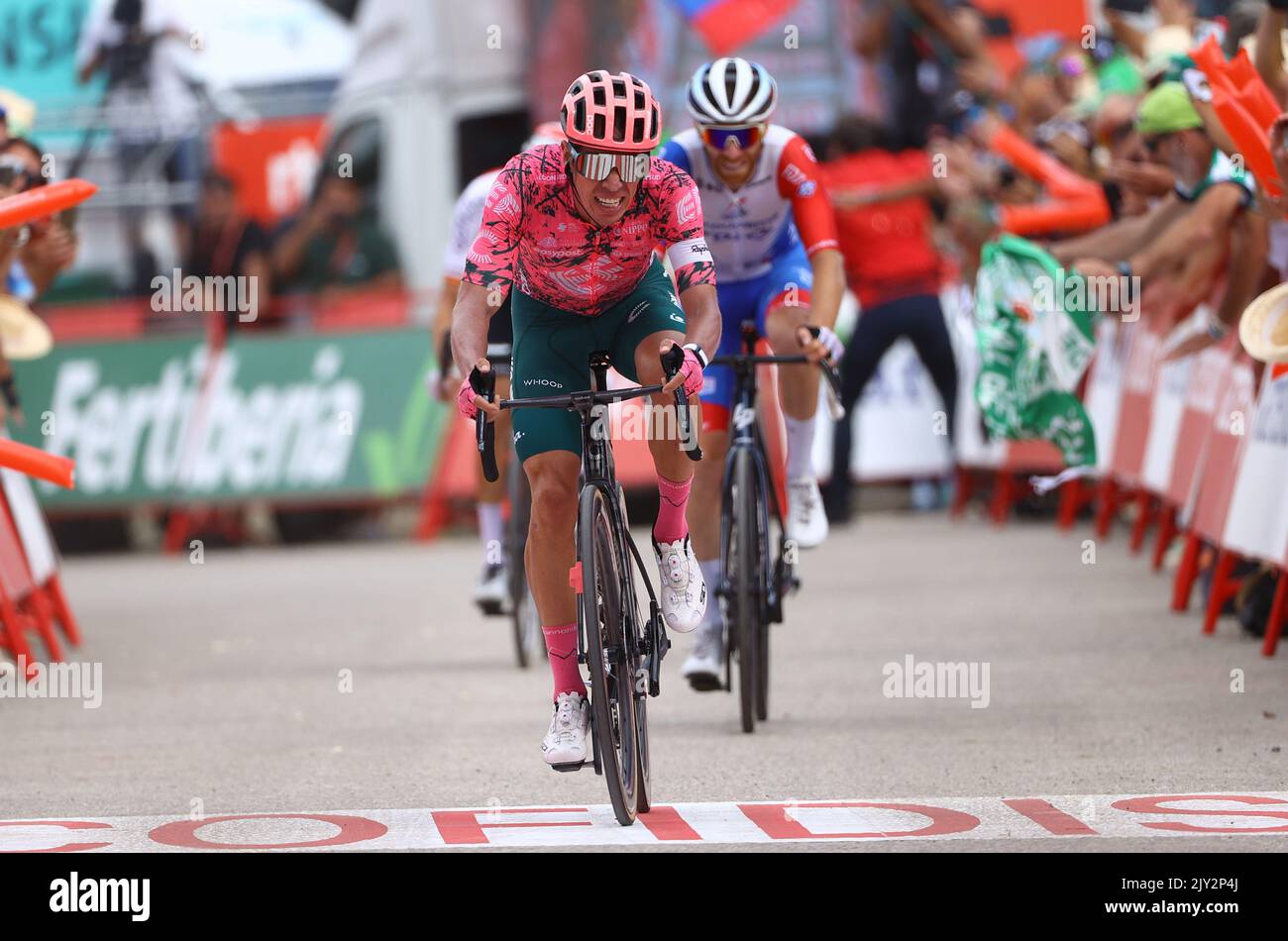Colombian Rigoberto Uran of EF Education-EasyPost pictured in action during stage 17 of the 2022 edition of the 'Vuelta a Espana', Tour of Spain cycling race, from Aracena to Monasterio de Tentudia (162,3 km), Spain, Wednesday 07 September 2022.  BELGA PHOTO DAVID PINTENS Stock Photo