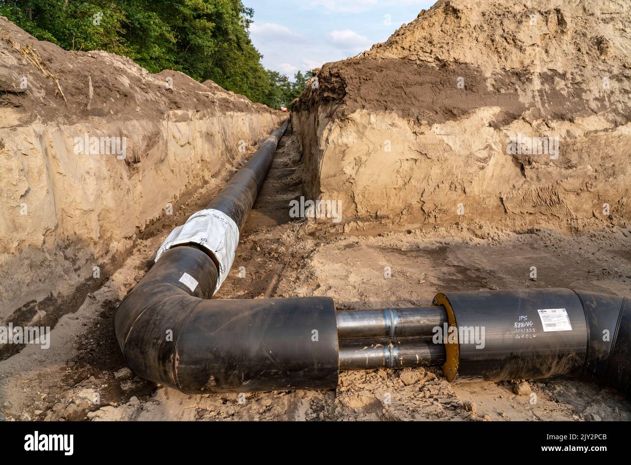 Laying of district heating pipes, next to a field, with maize, the