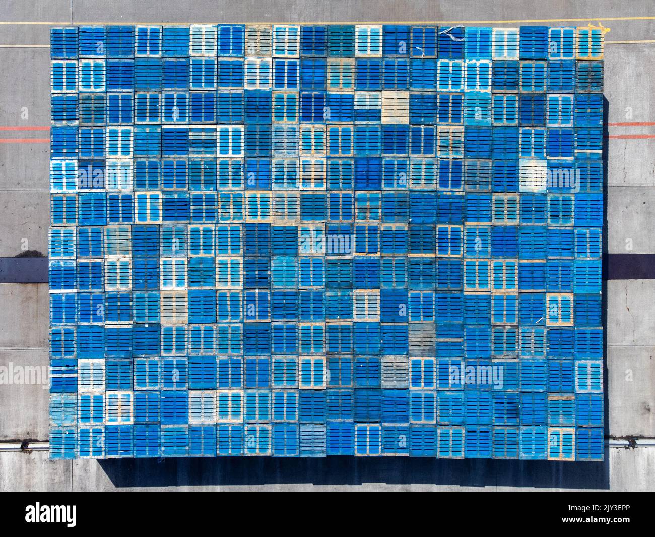 Hundreds of blue pallets form a colourful pattern Stock Photo