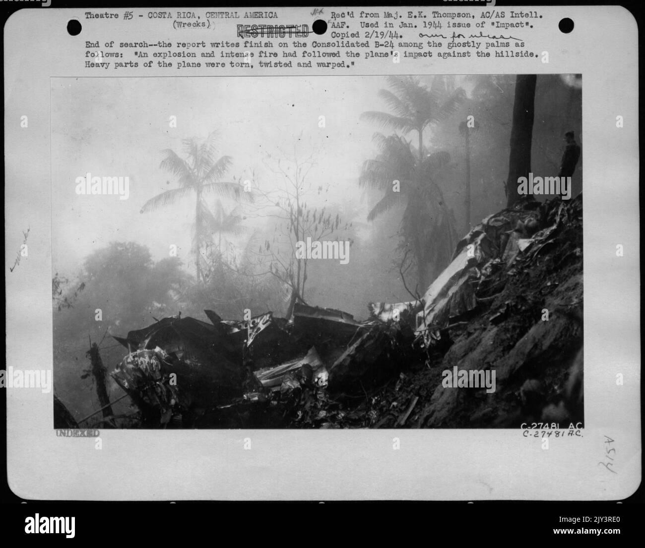 End of search - the report writes finish on the Consolidated B-24 among the ghostly palms as follows: 'An explosion and intense fire had followed the plane's impact against the hillside. Heavy parts of the plane were torn, twisted and warped.' Stock Photo