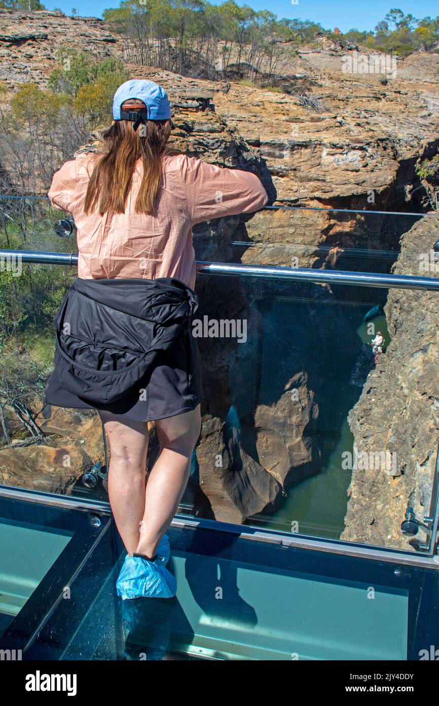 Woman on the glass bridge at Cobbold Gorge, peering down into the gorge Stock Photo
