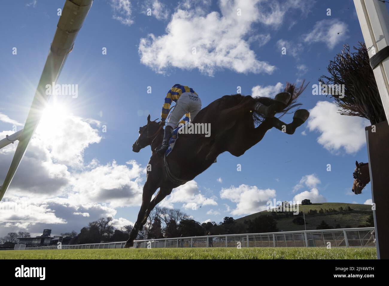 Shaun Phelan rides Speedy Jax into 2nd place in Race 5, the Cheap As