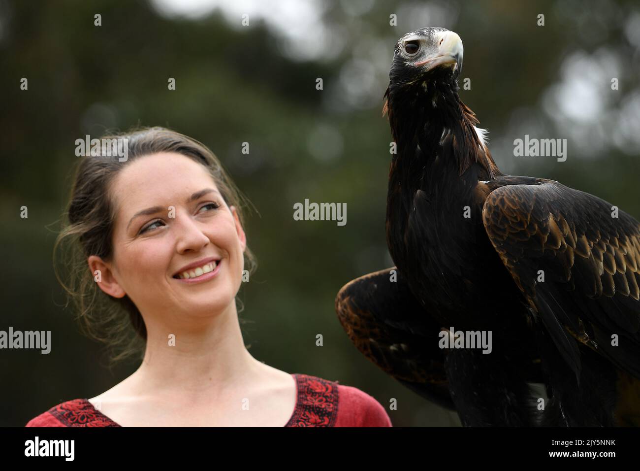 Jade Dickenson poses for a photograph with male wedge-tailed eagle ...