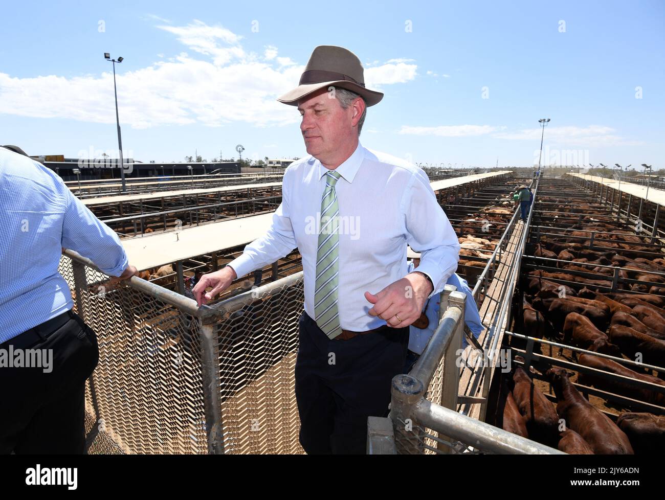 Queensland Minister For Local Government Stirling Hinchliffeat Tours queensland-minister-for-local-government-stirling-hinchliffeat-tours