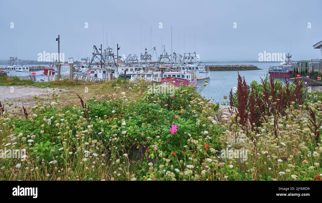 Boats are moored in the safety in the harbour at Cape Forchu Nova Scotia on a foggy dreary day. Stock Photo