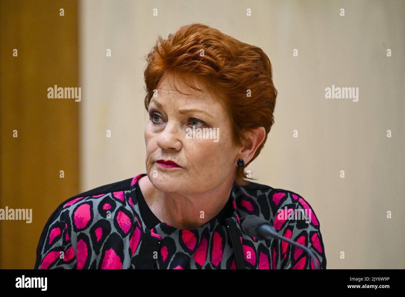 Pauline Hanson Senate estimates The Data Behind the Disruption