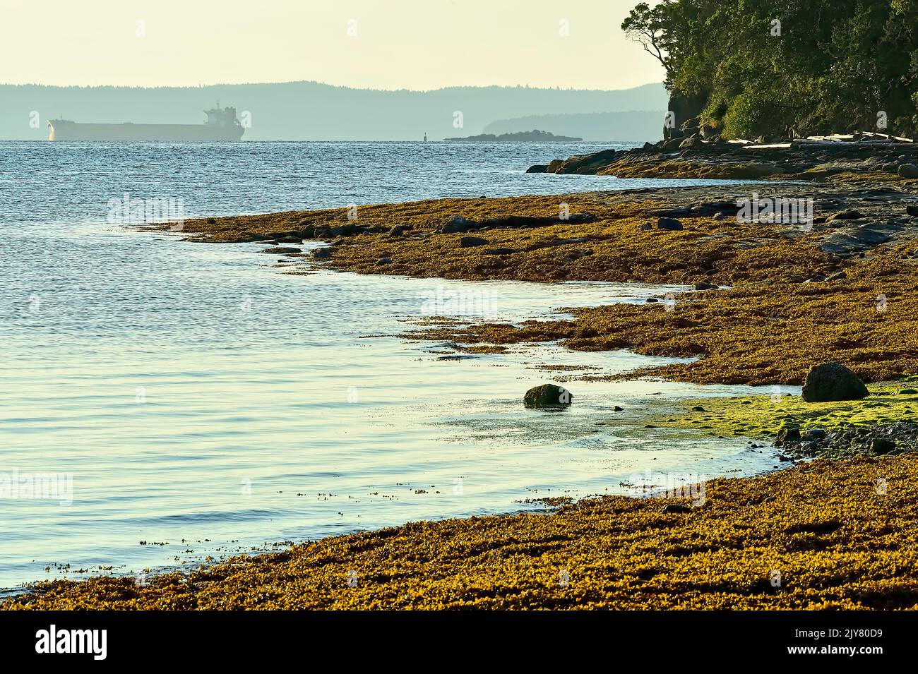 A landscape image of the seashore on Vancouver Island Stock Photo