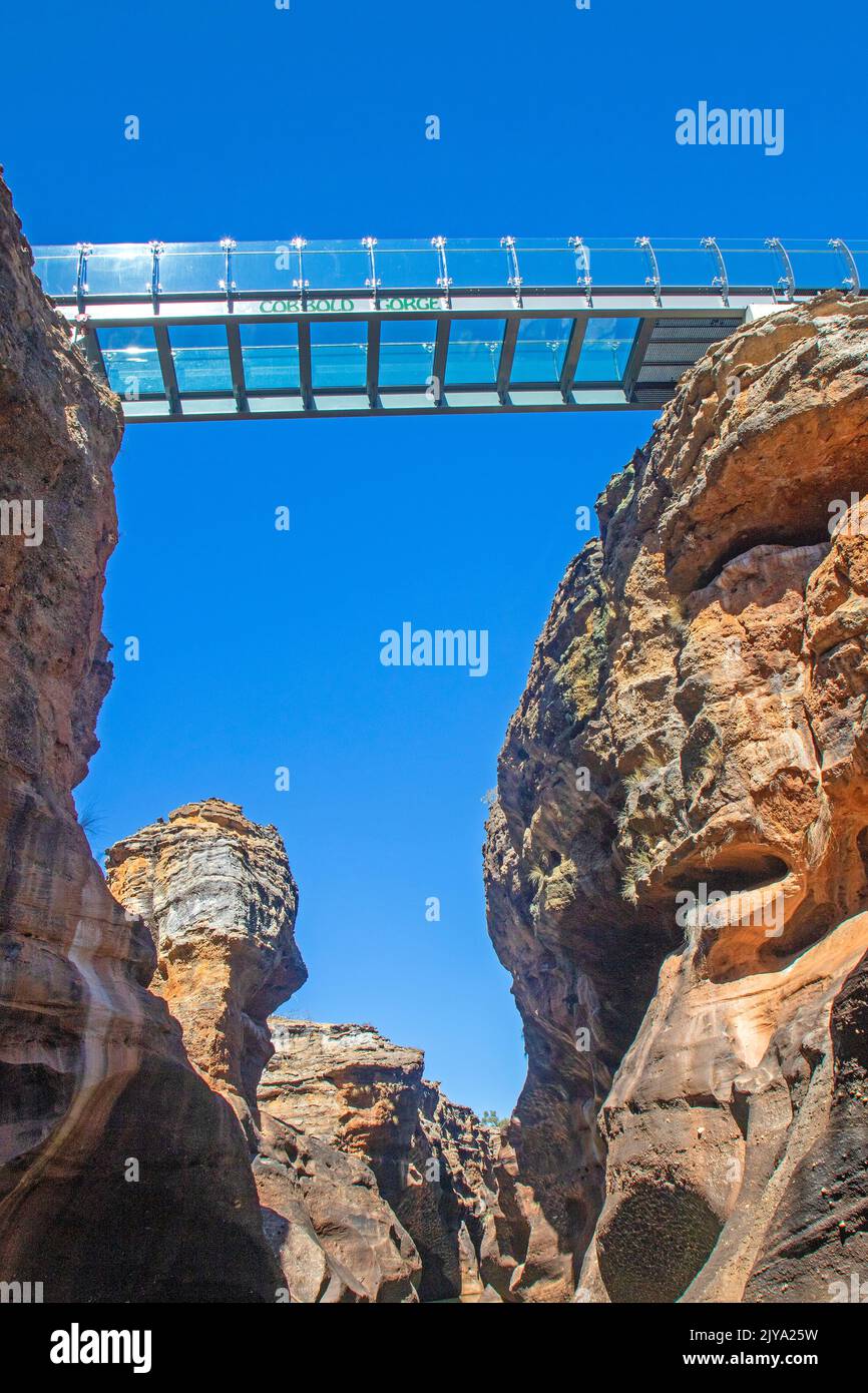 Glass bridge over Cobbold Gorge Stock Photo