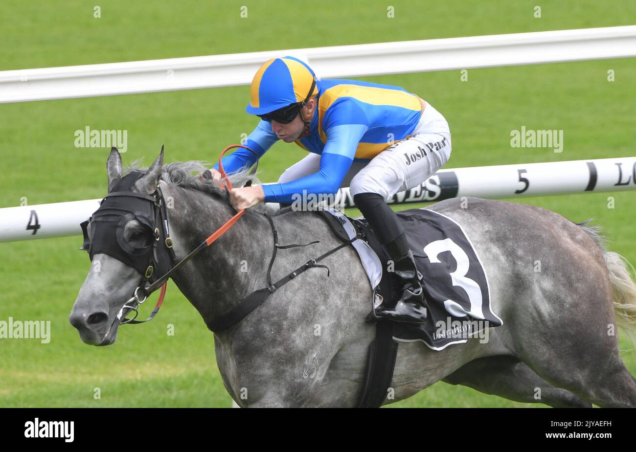 jockey-joshua-parr-rides-fun-fact-to-victory-in-race-4-the-pfd-food