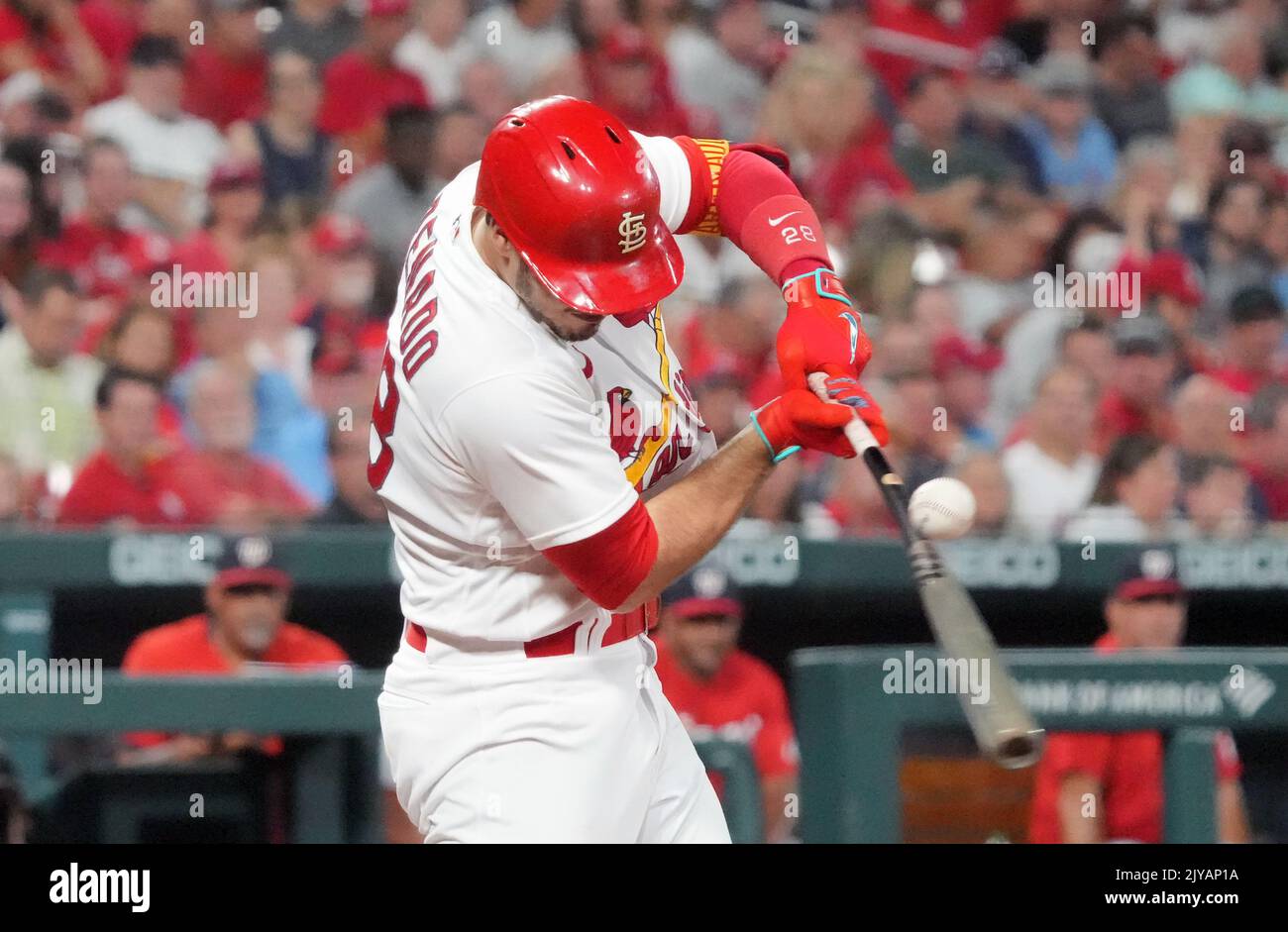 Photo: St. Louis Cardinals Brendan Donovan And Paul Goldschmidt Watch Ball  Drop - SLP2022052916 