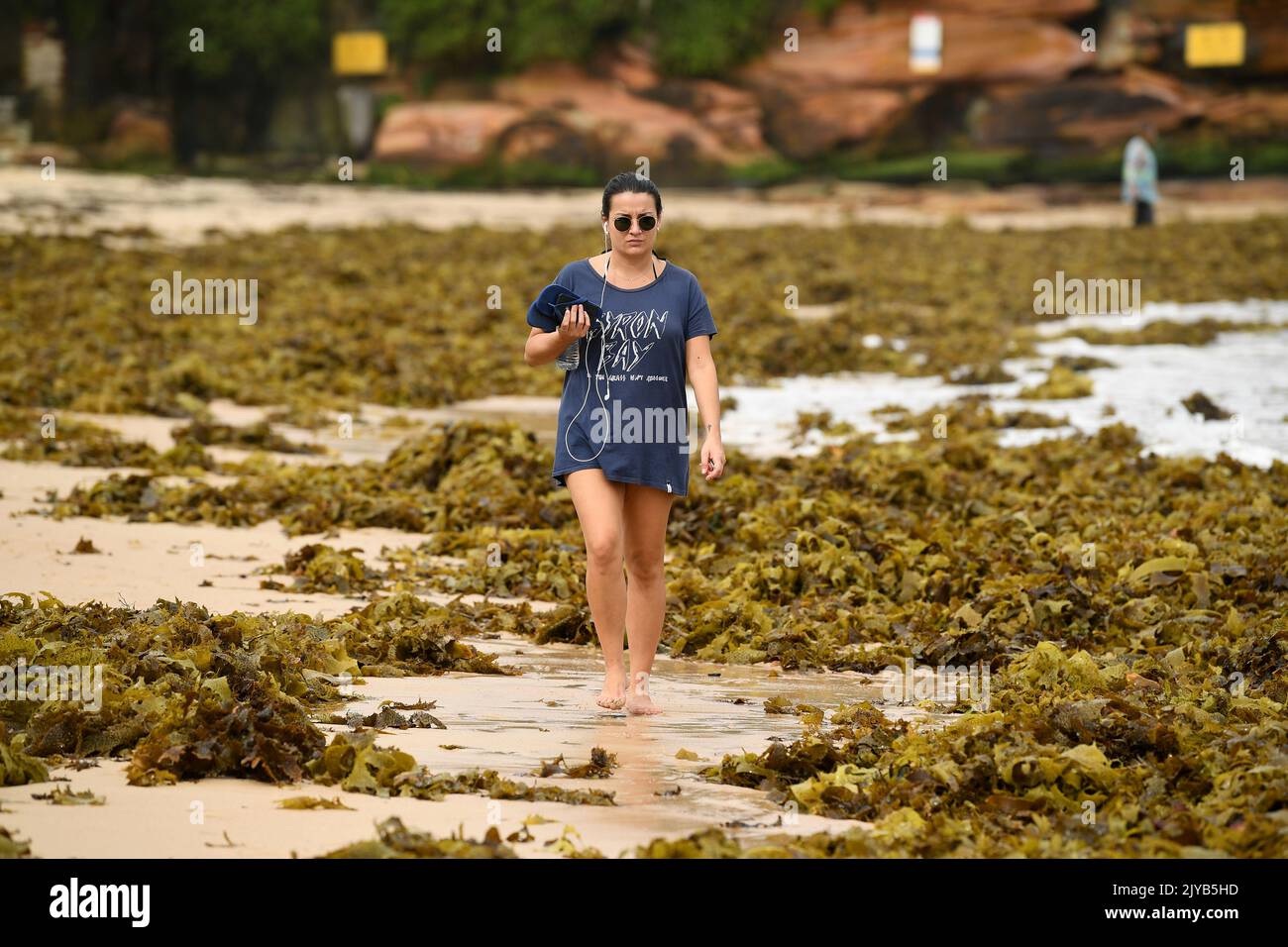 A woman negotiates her way through a large pile of seaweed washed up on