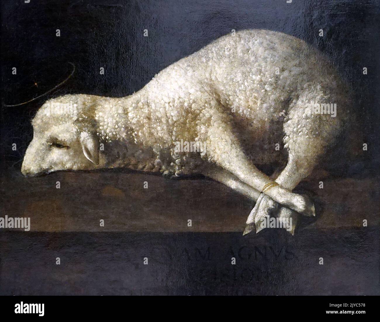 Agnus Dei ,The Lamb of God,1639 by Francisco de Zurbarán 1598-1664 Stock Photo