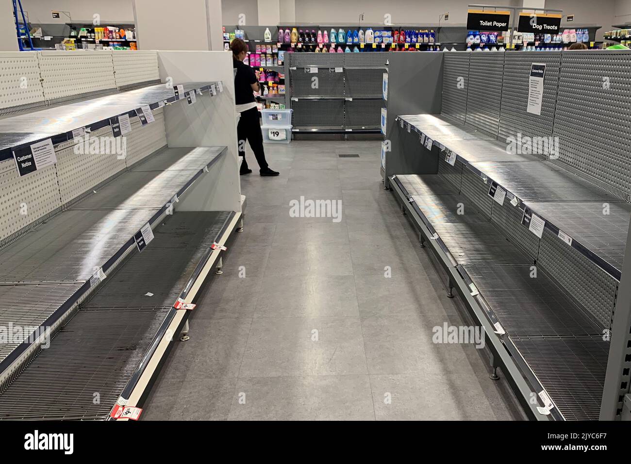 Empty shelves of toilet paper are seen at Woolworths Town Hall in