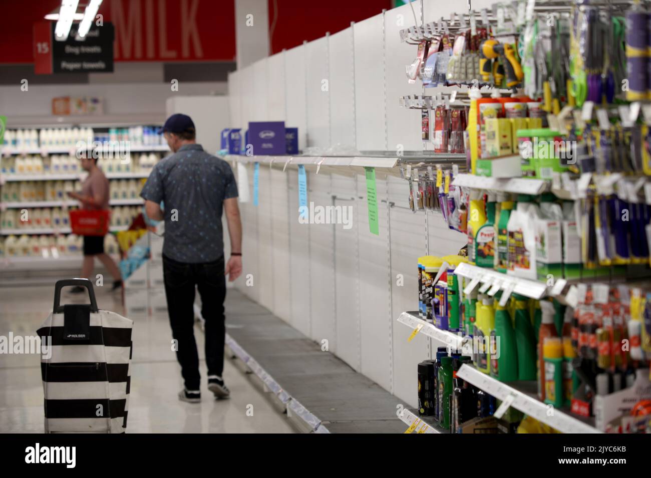 Empty toilet paper shelves at Coles supermarket in Adelaide, Friday