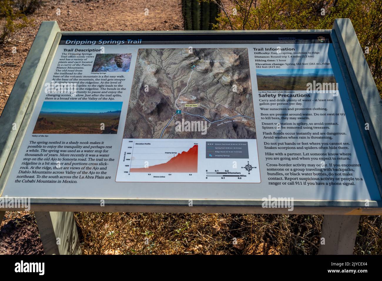 Organ Pipe NM, AZ, USA - Jan 21, 2022: The Dripping Spring Trail Stock ...