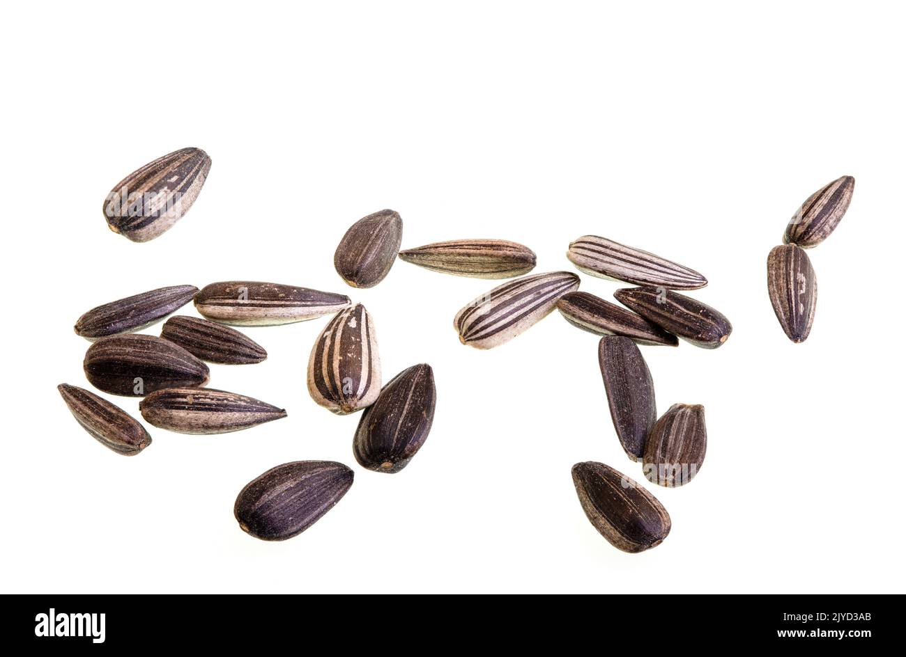 Sunflower seed is the seed of the sunflower plant, Helianthus annuus, native to North and Central America. Stock Photo