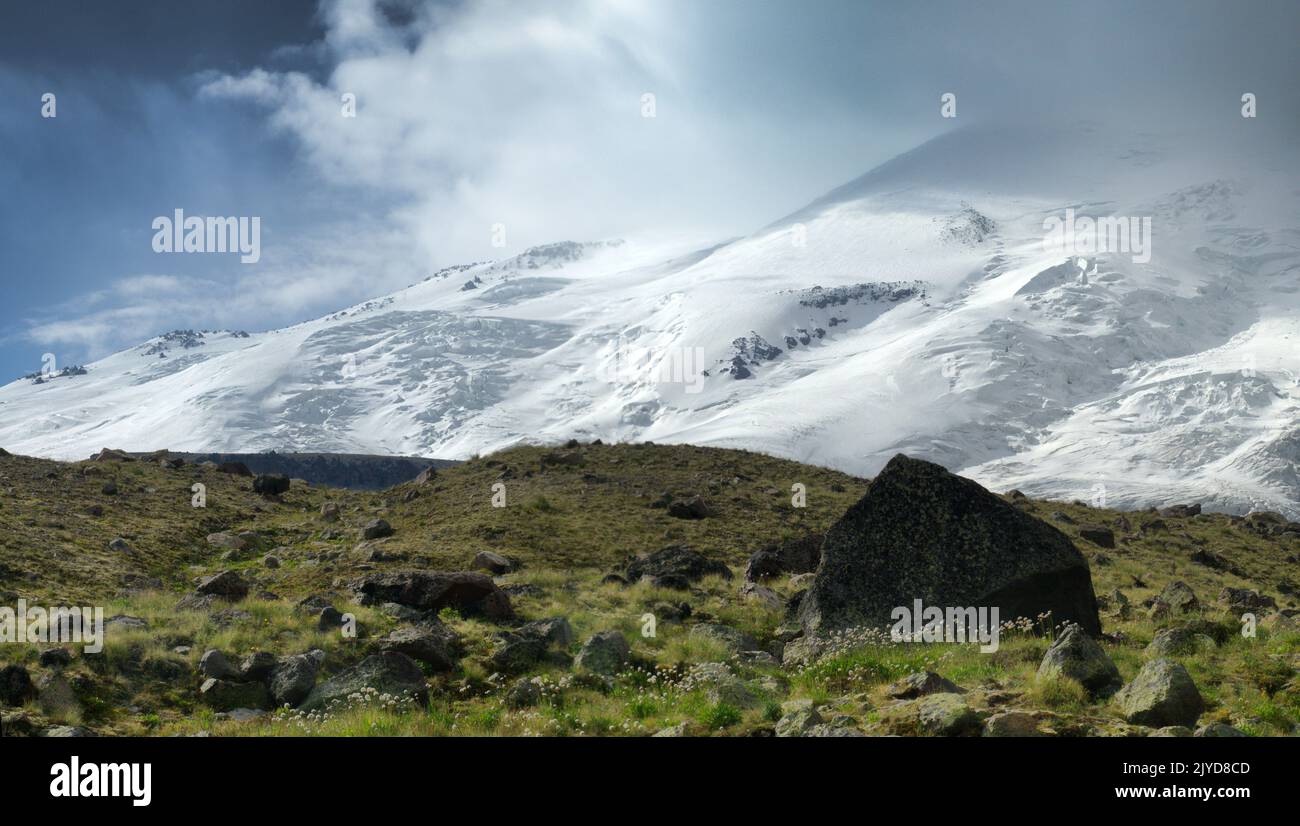 Altitudinal mountain zonality. Alpine meadows in transition zone of permanent glaciation and snowfields. Vegetation is preserved only in depressions, Stock Photo