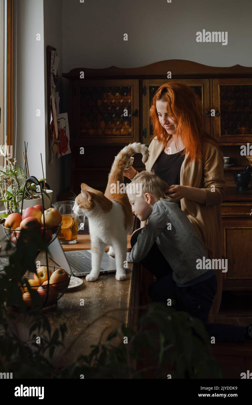 Ginger haired woman on kitchen with child and cat looking in laptop. Vintage house, cozy family life. Boy with mother at home.  Stock Photo