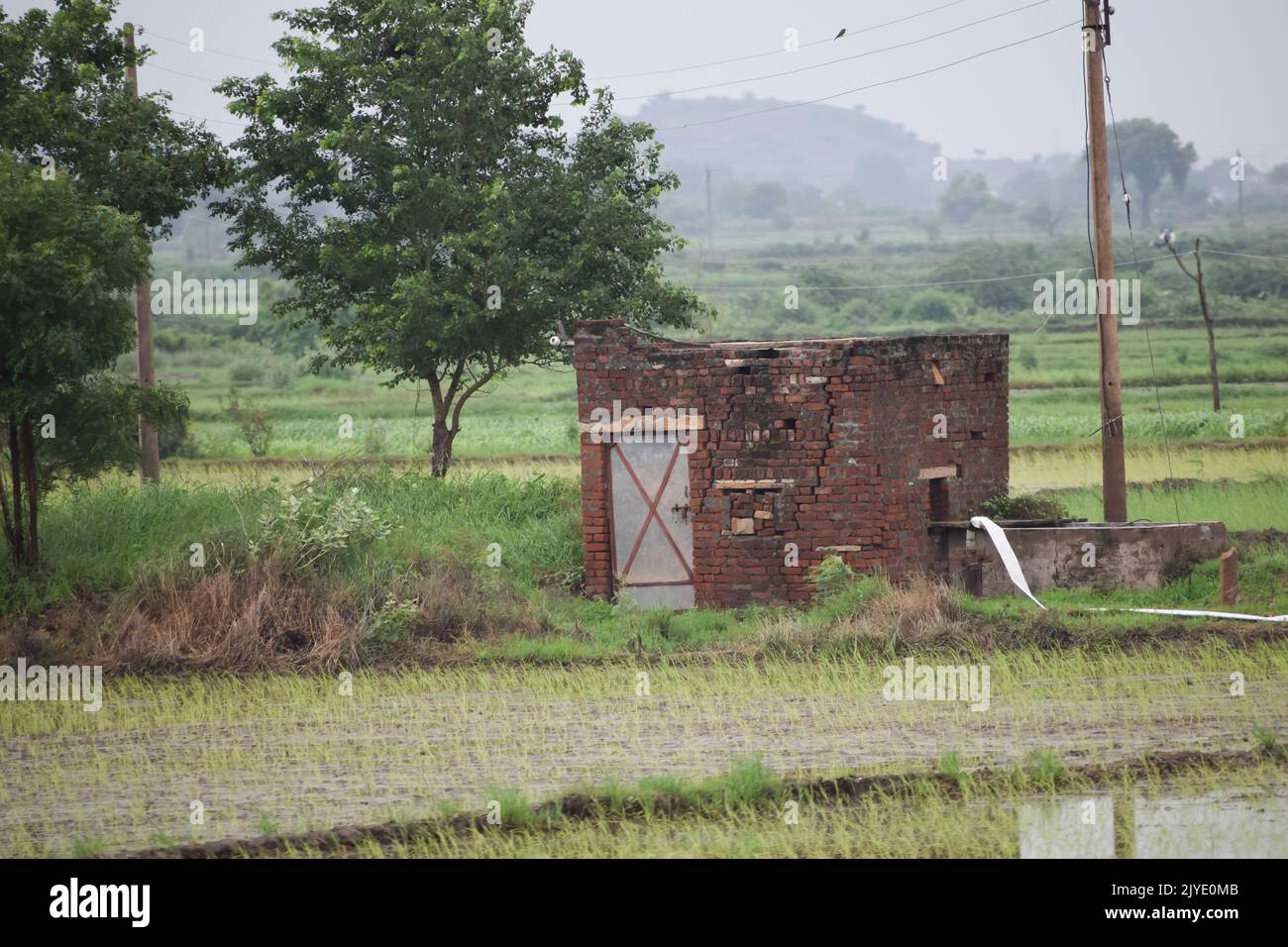 Kerala village sceneries hi-res stock photography and images - Alamy