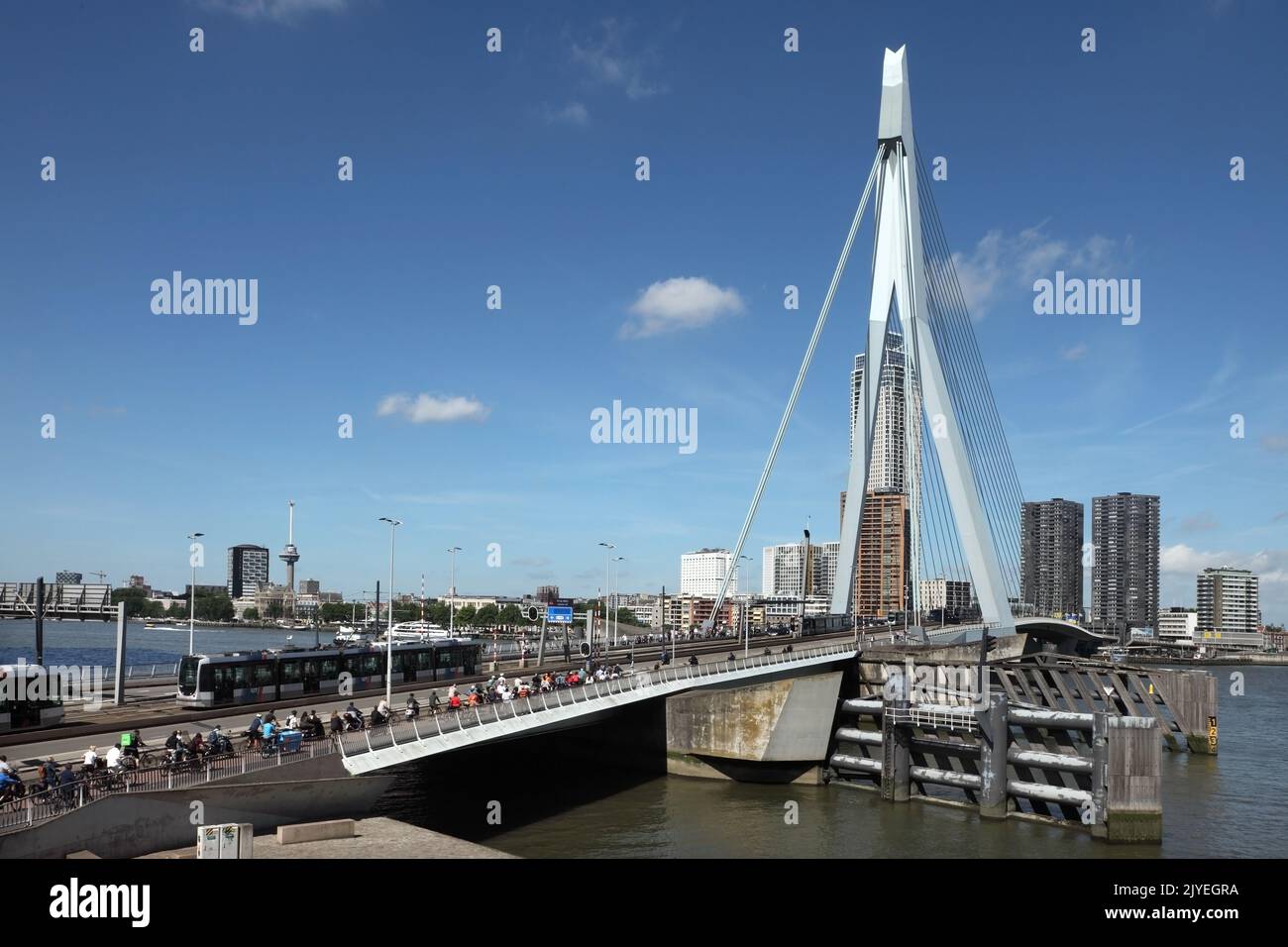The Erasmusbrug or Erasmus Bridge (1996), Rotterdam, Netherlands. Stock Photo