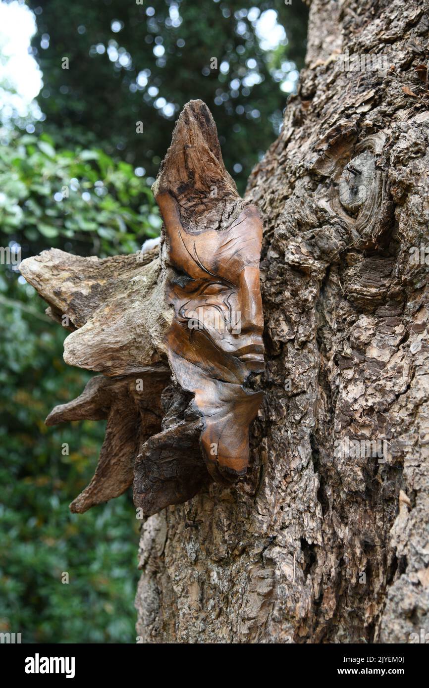 Wood Face carving on display Stock Photo Alamy