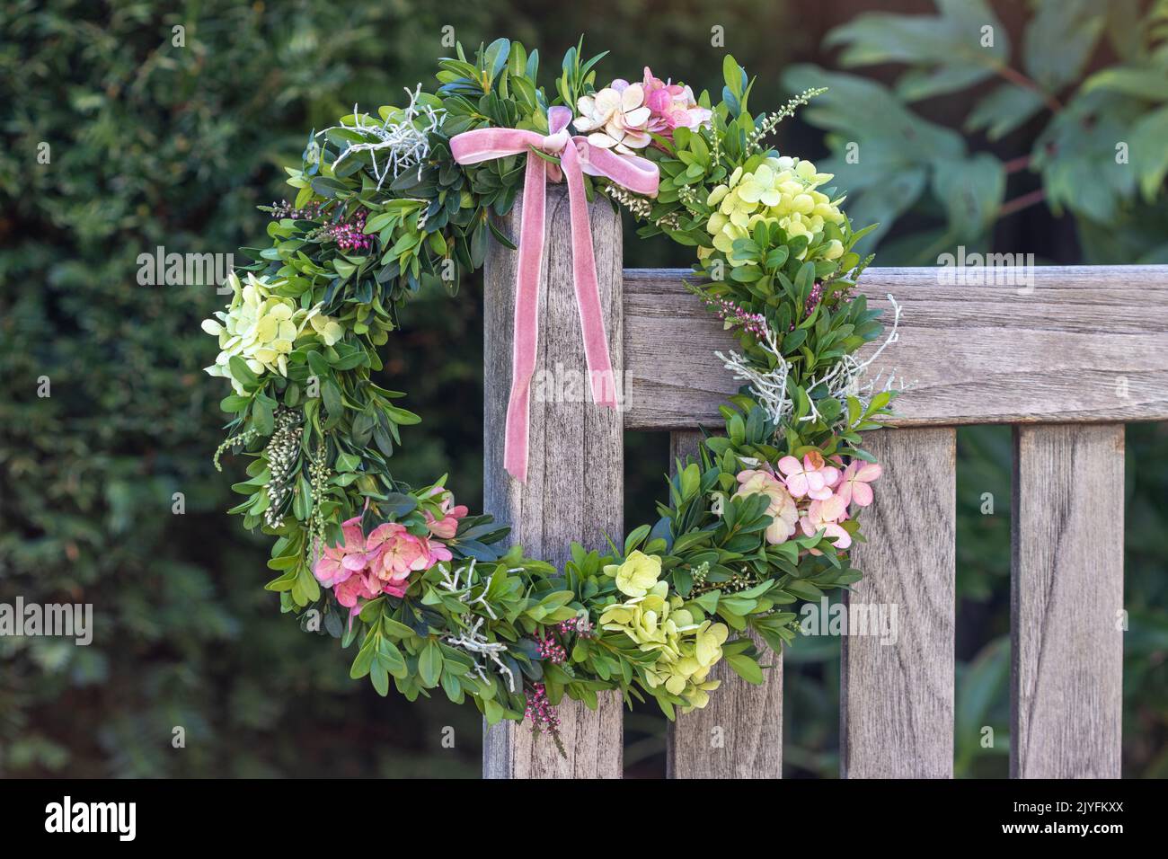 wreath of hydrangea flowers and box tree branches as floral decoration Stock Photo