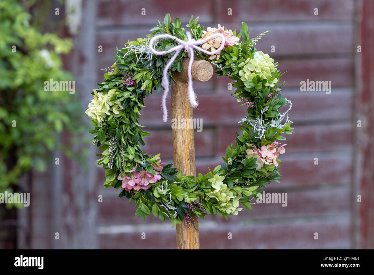 wreath of hydrangea flowers and box tree branches as floral decoration Stock Photo