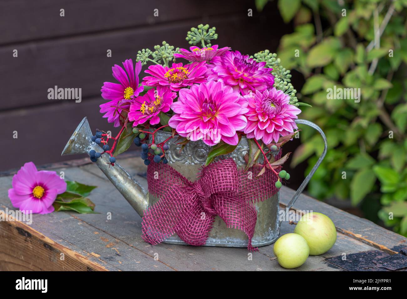 floral arrangement with pink dahlias, zinnias and cosmos flowers in decorative watering can Stock Photo